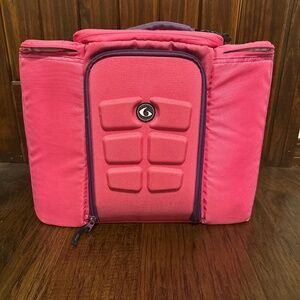 6 pack Meal prep bag